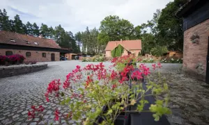Agroturystyka z dżygitówką i stajnią. Urokliwy dziedziniec z czerwonymi pelargoniami, brukowany podjazd i ceglane budynki.
