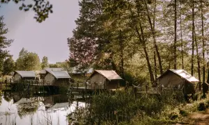Domki letniskowe nad jeziorem Lubuskie - idealne miejsce na relaks