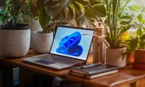 Laptop z systemem Windows 11 otoczony roślinami. Dowiedz się, jak zmienić administratora Windows 11, aby usprawnić zarządzanie kontami.