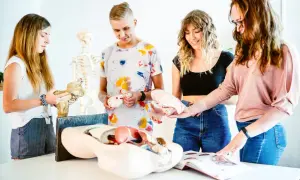 Fizjoterapia jakie przedmioty na studiach – co musisz wiedzieć?