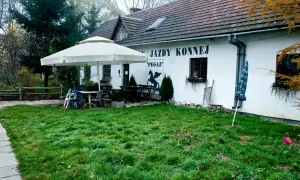 Najlepsze stadniny w Krakowie: gdzie znaleźć idealne miejsce do jazdy?
