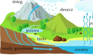 Skąd woda w kranie? Poznaj całą drogę i tajniki uzdatniania!