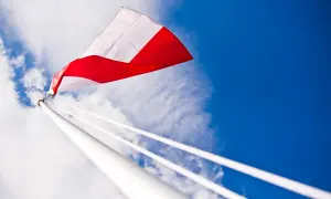 Tadar to polska firma? Poznaj fakty o kapitale i produkcji!