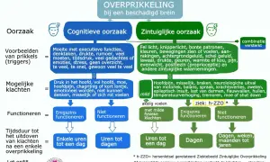 Schema over overprikkeling bij hersenletsel: oorzaken, klachten, functioneren en duur. Behandeling van een overbelast zenuwstelsel is hierin verwerkt.