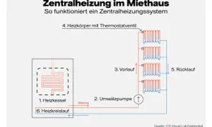 Schema erklärt die Bedeutung der Zentralheizung: Heizkessel erzeugt Wärme, Umwälzpumpe verteilt sie über Vorlauf zu Heizkörpern, Rücklauf führt sie zurück.
