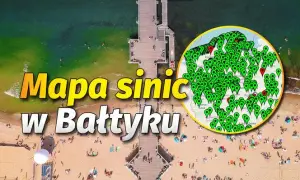 Gdzie sinice nad morzem? Sprawdź, gdzie nie można się kąpać