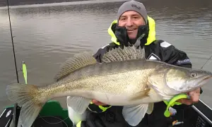 Glücklicher Angler hält einen großen Zander, gefangen im Edersee. Die Fische hier sind beeindruckend!