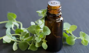 Olejek z oregano: Zastosowanie, dawkowanie i przeciwwskazania