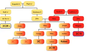Arbre généalogique avec des noms et des liens familiaux, utilisant des formes colorées.