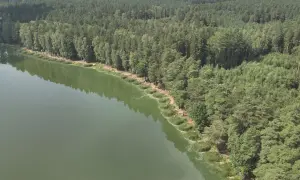 Zielone, spokojne mogilno jezioro otoczone gęstym lasem sosnowym. Na brzegu widać niewielkie skupiska ludzi i roślinność.