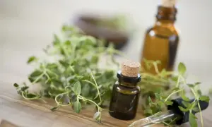 Olejek tymiankowy na co? Małe buteleczki z ciemnego szkła, świeży tymianek i pipeta sugerują naturalne zastosowanie.