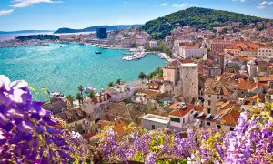 Widok na Split w Chorwacji z kwitnącym fioletowym kwieciem w pierwszym planie.