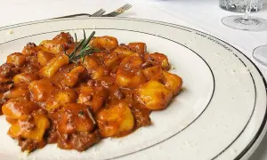 Gnocchi al ragù, un classico tra i piatti tipici maceratesi, serviti su un piatto bianco con rosmarino fresco.