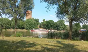 Gęsi spacerują po trawie nad jeziorem Gopło, gdzie pływa statek wycieczkowy. W tle widać wieżę.