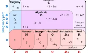 Rodzaje liczb w matematyce - zrozumienie ich definicji i zastosowań