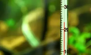 Termometr akwariowy pokazuje temperaturę około 22 stopni Celsjusza na tle zielonych roślin.