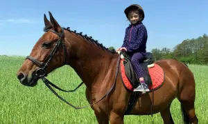 Mała dziewczynka w kasku siedzi na koniu w zielonym polu. To piękny dzień w stajni Cheval Mariampol.