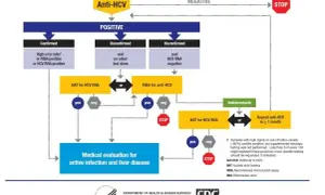 Schemat diagnostyki zakażenia HCV: badanie Anti-HCV, NAT, RIBA. Określa, hcv co to za badanie i dalsze kroki.