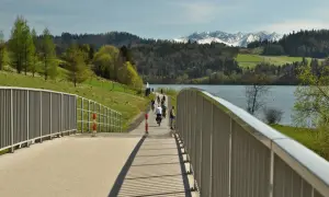 Rowerzyści przemierzają malowniczą trasę Velo Czorsztyn nad jeziorem, w tle piękne góry.