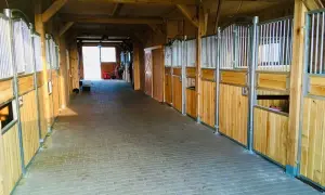 Wnętrze stajni w stadninie koni Dolina Pilicy. Drewniane boksy dla koni, wyłożona kostką brukową alejka, światło wpada przez otwarte drzwi na końcu.