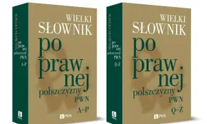 Słownik poprawnej polszczyzny: Książka czy online? Wybierz mądrze!