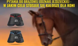 Po co są kaloszki dla konia? Ochrona kopyt i ich korzyści