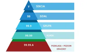 Hierarchia PKD: Y Sekcja, 99 Dział, 99.9 Grupa, 99.99 Klasa, 99.99.A Podklasa - Poziom Krajowy. Sprzedaż detaliczna mieści się w tej strukturze.