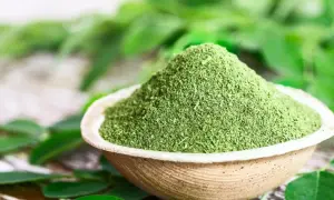 Zielony proszek z liści moringa w miseczce, otoczony świeżymi liśćmi. Lekarze często polecają liście moringa ze względu na ich cenne właściwości.