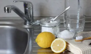 Limone, bicarbonato e aceto: ingredienti naturali per lavare i piatti senza detersivo.