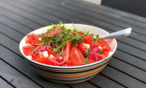 En skål med färsk tomatsallad, fetaost, rödlök och groddar. En god sallad till maten som ser härligt fräsch ut.