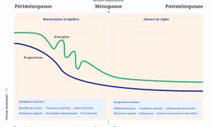Graphique montrant la baisse des hormones œstrogène et progestérone, marquant la périménopause, la ménopause et la postménopause, avec les symptômes associés.