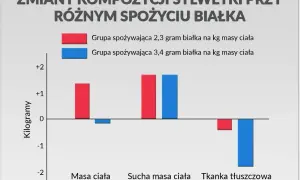 Wykres pokazuje zmiany masy ciała, suchej masy i tkanki tłuszczowej w zależności od tego, ile białka dziennie spożywały dwie grupy.
