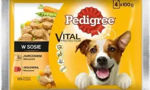 Czy karma Pedigree jest dobra dla psa? Odkryj zalety i wady