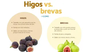 Comparativa visual de la diferencia entre higos y brevas, mostrando sus características de tamaño, forma y sabor.