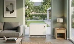 Moderner Heizkörper im Wohnzimmer mit Blick auf den Garten. Ein Austausch von Nachtspeicherheizungen ist oft eine gute Idee.