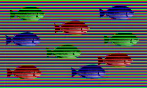 Acht Fische schwimmen auf einem Hintergrund aus roten, grünen und blauen Streifen. Sie sehen die Farben.