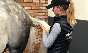 Dziewczyna w czapce i kamizelce szczotkuje długą, jasną grzywę konia. Puzdro u konia lśni w świetle.