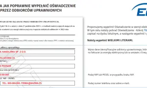 Jak wypełnić wniosek o zamrożenie cen prądu - uniknij błędów i zyskaj oszczędności