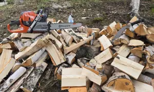 Pilarka STIHL czy Husqvarna – która jest naprawdę lepsza?