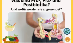 Ein Darmmodell wird gehalten, daneben eine Schüssel mit Essen und ein Korb voller Gemüse. Die Grafik erklärt, was präbiotika und probiotika sind.