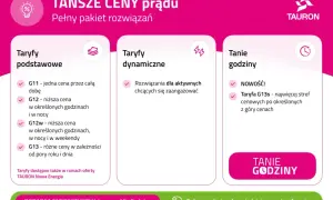 Taryfa G13s to nowość w ofercie Tauron, oferująca najwięcej stref cenowych. Porównanie taryf prądu.