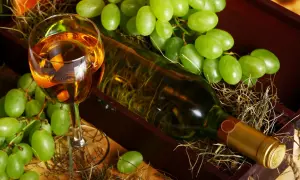 Czy wino jest wegańskie? Odkryj, co może cię zaskoczyć