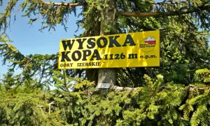 Żółta tablica na drzewie informuje: Wysoka Kopa, 1126 m n.p.m., Góry Izerskie. To najwyższy szczyt gór izerskich.