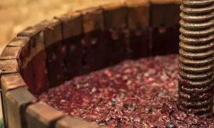 Vino fatto in casa in lavorazione: uva pigiata in un torchio di legno, pronta per la fermentazione.
