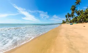 Traumhafter Strand in Phan Thiet mit Palmen und türkisfarbenem Meer. Meine Erfahrungen hier sind unvergesslich.