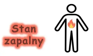 Cichy wróg zdrowia: Stan zapalny. Objawy, badania, dieta!