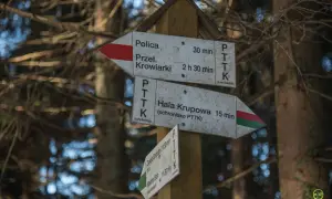 Drewniany słup z drogowskazami PTTK w lesie. Wskazuje polica szlaki do Przeł. Krowiarki (30 min) i Hali Krupowej (15 min).