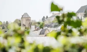 Ein Tag in Luxemburg: Blick auf eine mittelalterliche Burg und malerische Häuser, umrahmt von grünem Laub.