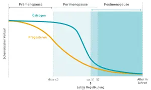 Grafik zeigt den Verlauf von Östrogen und Progesteron. Sie illustriert, wie lange dauern wechseljahre, von der Prämenopause über die Perimenopause bis zur Postmenopause.
