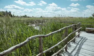 Skansen Tum: Odkryj historię i atrakcje w Kwiatkówku i Tumu